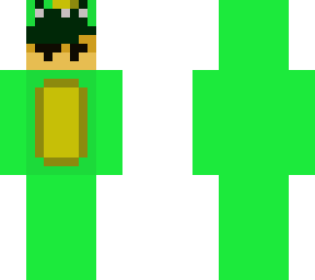 turtle dress