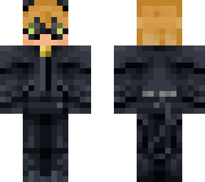a normal chat noir guy