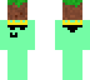 my skin carrying a dirt block