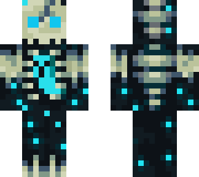 soul warden