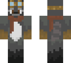 racccoon