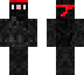 the ninja