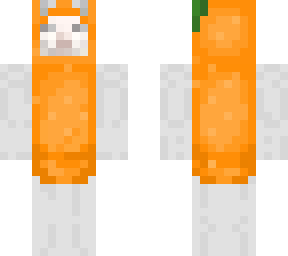 orange cat