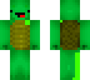 fgfg turtle