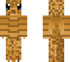 armadillo