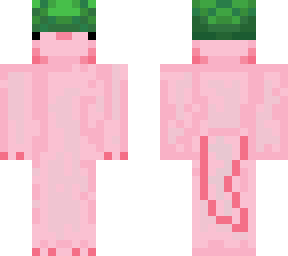 Axolotl | Minecraft Skin