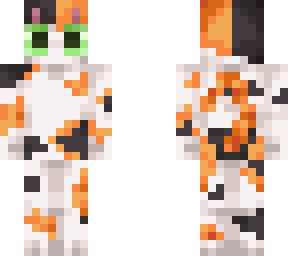calico cat