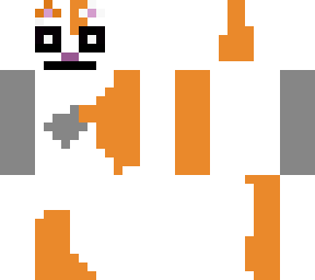 cute calico cat