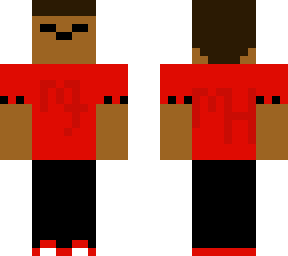 mse skin