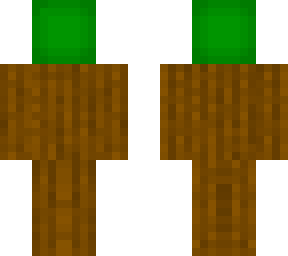 garden cactus