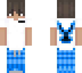 sb's minecraft skin