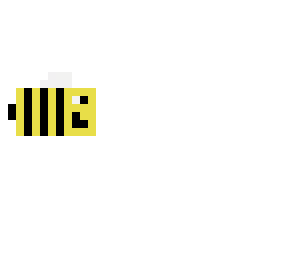 contest entry