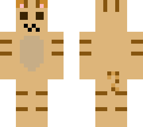 hackicat