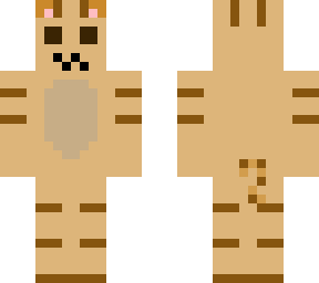 hackicat