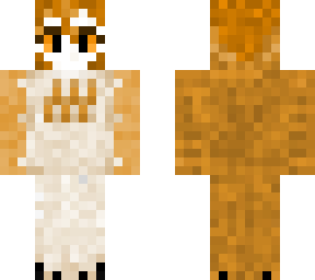 tyto harpy