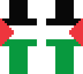 palestine flag