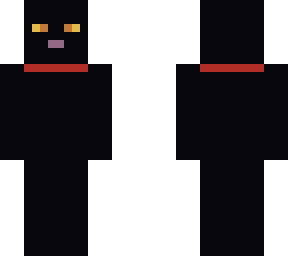 black cat