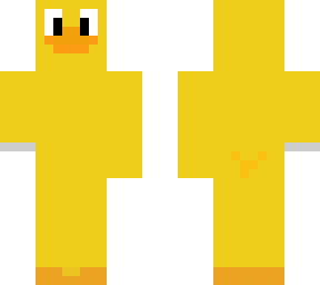 a duck