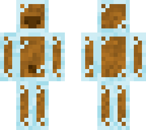 capybara wearing glass block