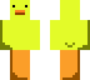 my first duck