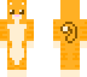 tabby cat