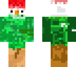 turaco