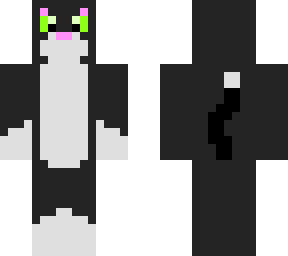 tuxedo cat