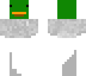 mallard duck