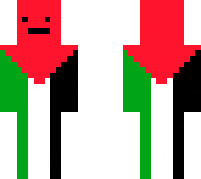 palestine flag body