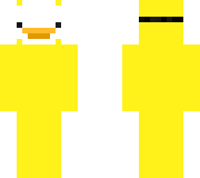 dream duck