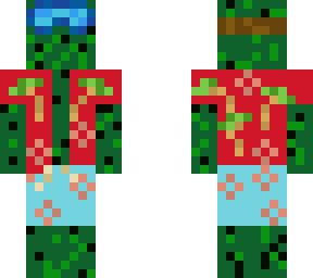 cactus with shirt and swimming trunks