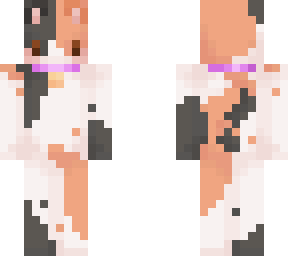 calico cat edit