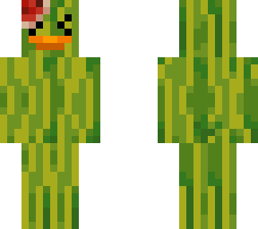 mad melon duck
