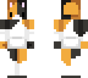calico cat