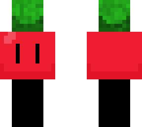 tilly tomato