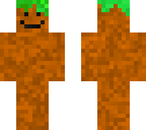 dirt to stone skin