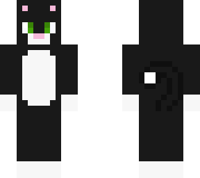 black cat