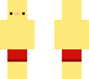 pajaroto baador