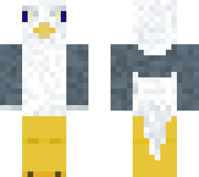 seagull