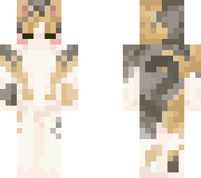 dilute calico cat