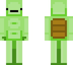 hive styled turtle