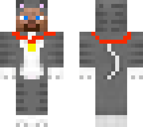 cat steve (with collar)