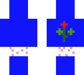 main skin