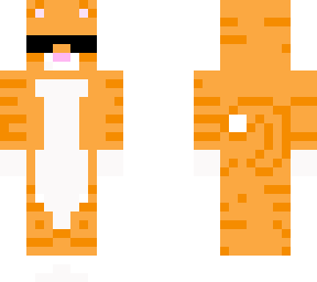 orange cat