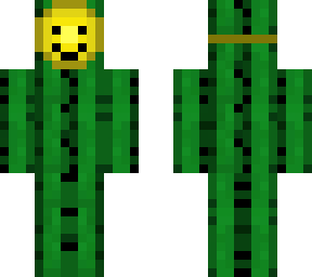 happy cacti