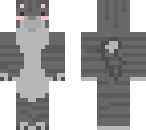 grey tabby cat kitty meow