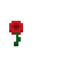 rosea