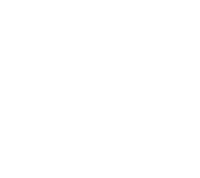 pong