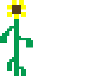 sun flower