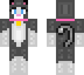 cassie the cat
